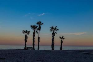 havet landskap fred och tyst solnedgång och fyra handflatan träd på de strand och en bänk foto