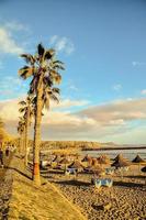 skön strand på tenerife foto