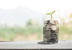 pengarsparande idé, odla en trädväxt i en myntburk på ett träbord med en suddig bakgrund foto