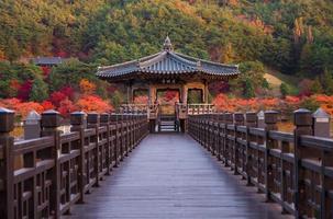 wolyeonggyo bro, trä- bro på andong, söder korea. foto