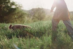 en kvinna spelar en spel med henne liten hund på de grön gräs i en fält i de solig kväll ljus av natur. de begrepp av omtänksam för djur och harmoni med natur foto