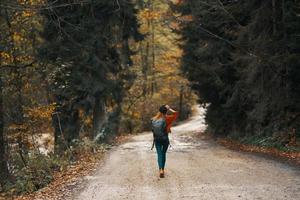 kvinna resor i höst skog på de väg landskap lång träd ryggsäck modell foto