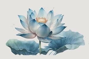 skön ljus blå lotus vattenfärg Nej bakgrund foto