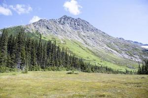 skagway stad övre dewey sjö äng och en berg foto