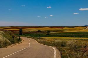 landskap asfalt väg genom fält och ängar i värma sommar. dag aragon Spanien foto