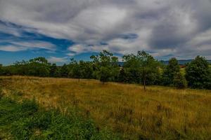 sommar landskap med grön träd, äng, fält och himmel med vit moln foto