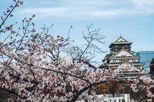 Osaka, Japan, 2019, osaka slott tagen i vår från de caslte jord när sakura körsbär blomma satte igång till blomma foto