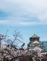 himeji slott, Osaka, Japan, 2019 - himeji slott i vår omgiven förbi sakura körsbär blomma tagen från de slott jord foto