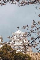 himeji slott, Osaka, Japan, 2019 - himeji slott i vår omgiven förbi sakura körsbär blomma tagen från de slott jord foto