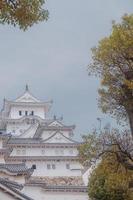 himeji slott, Osaka, Japan, 2019 - himeji slott i vår omgiven förbi sakura körsbär blomma tagen från de slott jord foto