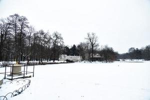 parkera i Warszawa polen på en snöig vinter- dag foto