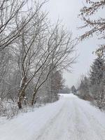 vinter- naturlig landskap med snötäckt träd i de skog och en smal väg foto
