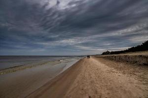 lugna landskap av de strand på de putsa baltic hav på en molnig februari dag foto