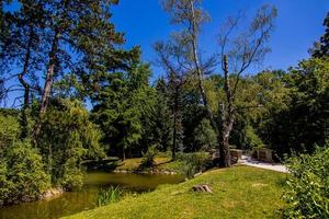 sommar landskap med en damm saski trädgård Warszawa polen grön träd värma dag foto