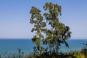 sommar landskap med hav och brant sluttning träd i jastrzebia gora, polen på en värma dag foto