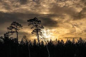 solnedgång över de sanddyner förbi de baltic hav på en frostig vinter- dag med moln foto