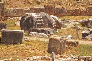 l gammal ruiner av de gammal tempel av apollo i didim, Kalkon på en varm sommar dag foto