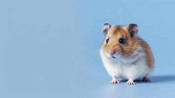 baner med hamster. kopia Plats, bakgrund. generativ ai. foto