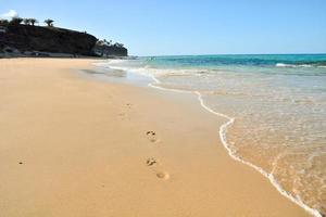 skön strand på tenerife foto