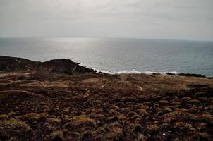 naturskön kust se foto