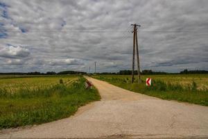 landskap på en sommar dag med en Land väg med elektrisk poler och en fält foto