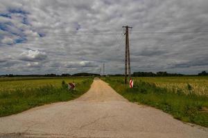 landskap på en sommar dag med en Land väg med elektrisk poler och en fält foto