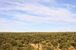 naturskön lantlig landskap foto