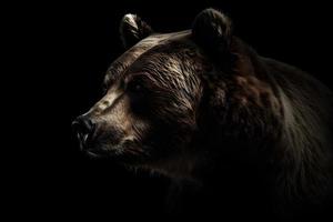 Björn på mörk bakgrund foto