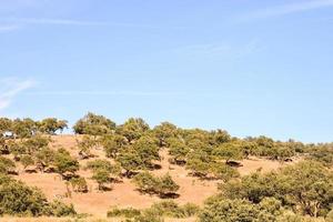 naturskön lantlig landskap foto