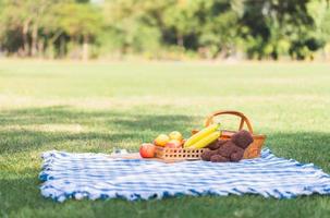 picknick korg med frukt och docka på blå trasa i de trädgård foto