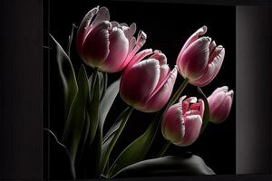 rosa tulpaner vår blomma svart bakgrund generativ ai foto