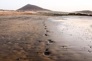 naturskön kust se foto