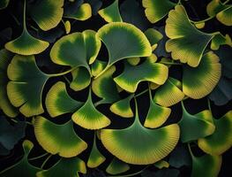 gingko biloba grön löv bakgrund skapas med generativ ai teknologi foto