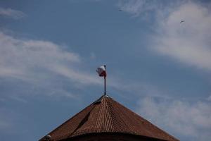 polen röd och vit flagga på tak av kaklade byggnad i blå himmel bakgrund foto