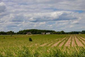 jordbruks landskap i polen på en sommar dag foto