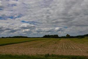 jordbruks landskap i polen på en sommar dag foto