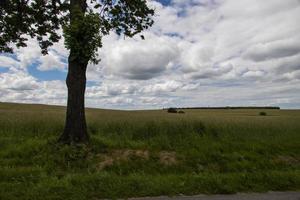 jordbruks landskap i polen på en sommar dag foto