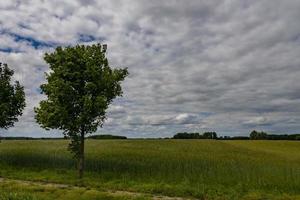 jordbruks landskap i polen på en sommar dag foto