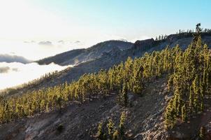 naturskön lantlig landskap foto