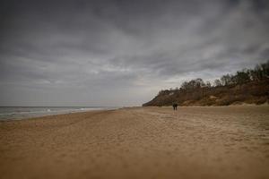 lugna landskap av de strand på de putsa baltic hav på en molnig februari dag foto