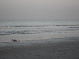 Foto av naturlig landskap se av skön vinter- strand och hav på en solig dag i cox's basar, bangladesh. resa och semester.