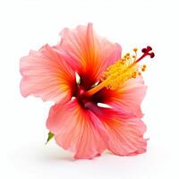 hibiskus blomma isolerat. illustration ai generativ foto