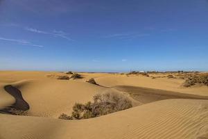 sommar öken- landskap på en värma solig dag från maspalomas sanddyner på de spanska ö av gran canaria foto