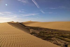 sommar öken- landskap på en värma solig dag från maspalomas sanddyner på de spanska ö av gran canaria foto