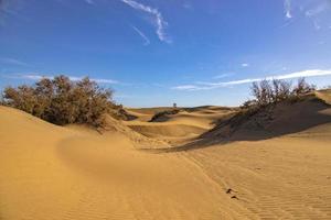 sommar öken- landskap på en värma solig dag från maspalomas sanddyner på de spanska ö av gran canaria foto