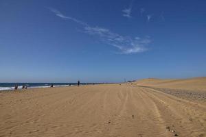 sommar öken- landskap på en värma solig dag från maspalomas sanddyner på de spanska ö av gran canaria foto