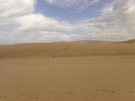 sommar öken- landskap på en värma solig dag från maspalomas sanddyner på de spanska ö av gran canaria foto