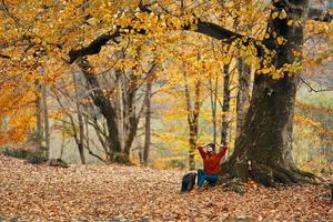 kvinna i höst skog Sammanträde under en träd med gul löv landskap parkera modell foto