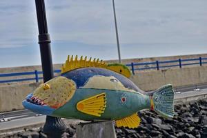 färgrik roligt fisk monument i de hamn av corralejo, Spanien foto