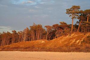 lugna landskap på de putsa baltic hav under solnedgång foto
